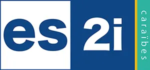 ES2I | Solutions informatiques & Numériques